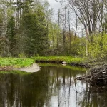 Studio vacant land home for sale in North Kawartha — 2348 Northey's Bay Road (Photo 3)