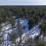 Studio vacant land home for sale in Muskoka — 2503 Southwood Road (Photo 1)