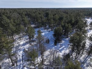 Studio vacant land home for sale in Muskoka — 2503 Southwood Road