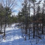 Studio vacant land home for sale in Muskoka — 2503 Southwood Road (Photo 4)
