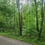 Studio vacant land home for sale in Leeds And Grenville — 25 Kelly's Side Road (Photo 2)