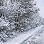 Studio vacant land home for sale in Leeds And Grenville — 25 Kelly's Side Road (Photo 4)