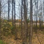 Studio vacant land home for sale in Leeds And Grenville — 25 Kelly's Side Road (Photo 5)