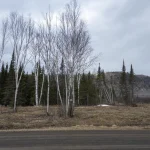 Studio home for sale in Thunder Bay — 356 Cloud Bay Road (Photo 4)