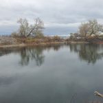 Studio vacant land home for sale in Frontenac Islands — 40 Fisherman's Cove Lane (Photo 2)