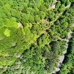 Studio vacant land home for sale in Muskoka — 445 Etwell Road (Photo 2)
