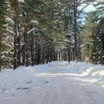 Studio vacant land home for sale in Muskoka — 445 Etwell Road (Photo 3)