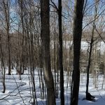 Studio vacant land home for sale in Muskoka — 445 Etwell Road (Photo 4)