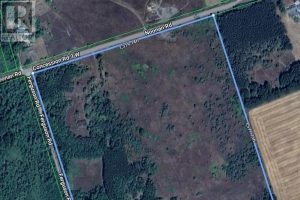 3-bedroom home for sale in Trent Hills — 557 Noonan Road