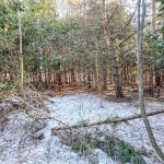Studio vacant land home for sale in Centre Wellington — 6382 Fifth Line (Photo 5)
