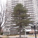 2-bedroom condo apartment for sale in Toronto — 704 - 80 Antibes Drive (Photo 1)