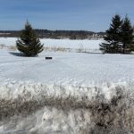 Studio no data home for sale in Alfred And Plantagenet — 725 Concession Road (Photo 3)
