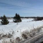 Studio no data home for sale in Alfred And Plantagenet — 725 Concession Road (Photo 4)