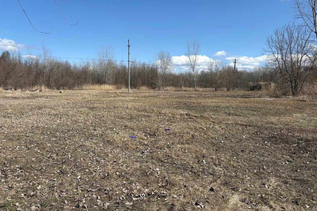Studio land home for sale in Stormont — 820 Tollgate Road E (Photo 1)