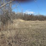 Studio land home for sale in Stormont — 820 Tollgate Road E (Photo 2)