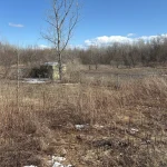 Studio land home for sale in Stormont — 820 Tollgate Road E (Photo 5)