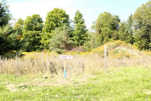 Studio vacant land home for sale in Springwater — 8 Greenlaw Court