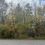 Studio vacant land home for sale in Simcoe — 944 Willow Street (Photo 3)