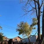3-bedroom home for rent in Dundas — A - 56 King Street West (Photo 2)