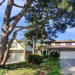 2-bedroom detached home for rent in Markham — Bsmt - 41 Maria Road (Photo 5)