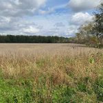 Studio vacant land home for sale in Wainfleet — #Lot 1 - 32035 Bell Road (Photo 2)