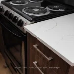 Studio detached home for rent in Toronto — Lower #2 - 164 Richard Clark Drive (Photo 5)