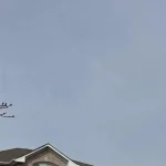 4-bedroom home for rent in Brampton — Upper - 82 Castlehill Road (Photo 1)
