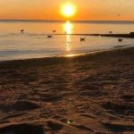 Studio vacant land home for sale in Muskoka — 1006 Bowyers Beach Road (Photo 2)