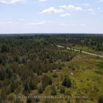 Studio vacant land home for sale in Muskoka — 1006 Bowyers Beach Road (Photo 5)