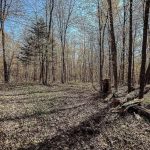 Studio other home for sale in Haliburton — 1035 Hearts Content Drive (Photo 3)