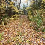 Studio other home for sale in Haliburton — 1035 Hearts Content Drive (Photo 4)