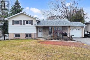4-bedroom home for sale in Georgina — 10384 Ravenshoe Road