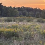 Studio vacant land home for sale in Niagara — 11573 Beach Road E (Photo 4)