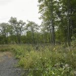 Studio vacant land home for sale in Parry Sound — 1310 Cumberland Ridge Drive (Photo 1)