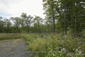 Studio vacant land home for sale in Parry Sound — 1310 Cumberland Ridge Drive