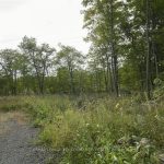 Studio vacant land home for sale in Parry Sound — 1310 Cumberland Ridge Drive (Photo 3)