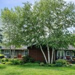 2-bedroom detached home for sale in Stormont — 14118 Willbruck Drive (Photo 2)