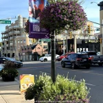Studio commercial retail home for sale in Aurora — 15229 Yonge Street (Photo 5)