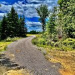 Studio vacant land home for sale in Renfrew — 174 Budd Road (Photo 2)