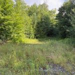 Studio vacant land home for sale in Renfrew — 174 Budd Road (Photo 5)