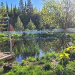 3-bedroom detached home for sale in Simcoe — 177 Medonte 2 Side Road (Photo 2)