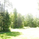 Studio home for sale in Springwater — 1912 South Orr Lake Road (Photo 4)