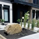 1-bedroom multiplex home for rent in Ottawa — 202 - 25 Grant Street (Photo 4)