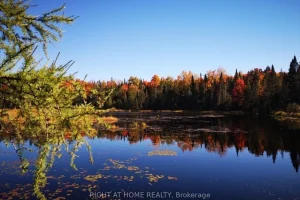 Studio home for sale in Strong — 2087 Machar Strong Boundry Road