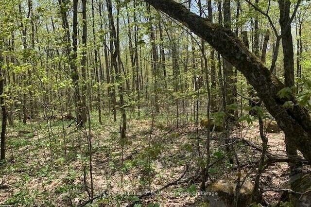 Studio vacant land home for sale in Parry Sound — 2376 South Horn Lake Road (Photo 1)