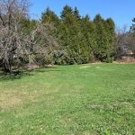 Studio vacant land home for sale in Parry Sound — 2376 South Horn Lake Road (Photo 4)