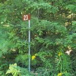 Studio vacant land home for sale in Simcoe — 23 Stoney Road (Photo 1)