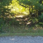 Studio vacant land home for sale in Simcoe — 23 Stoney Road (Photo 2)