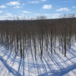 Studio vacant land home for sale in Simcoe — 23 Stoney Road (Photo 5)