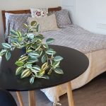 Studio condo apartment for sale in Toronto — 2811 - 55 Regent Park Boulevard (Photo 2)